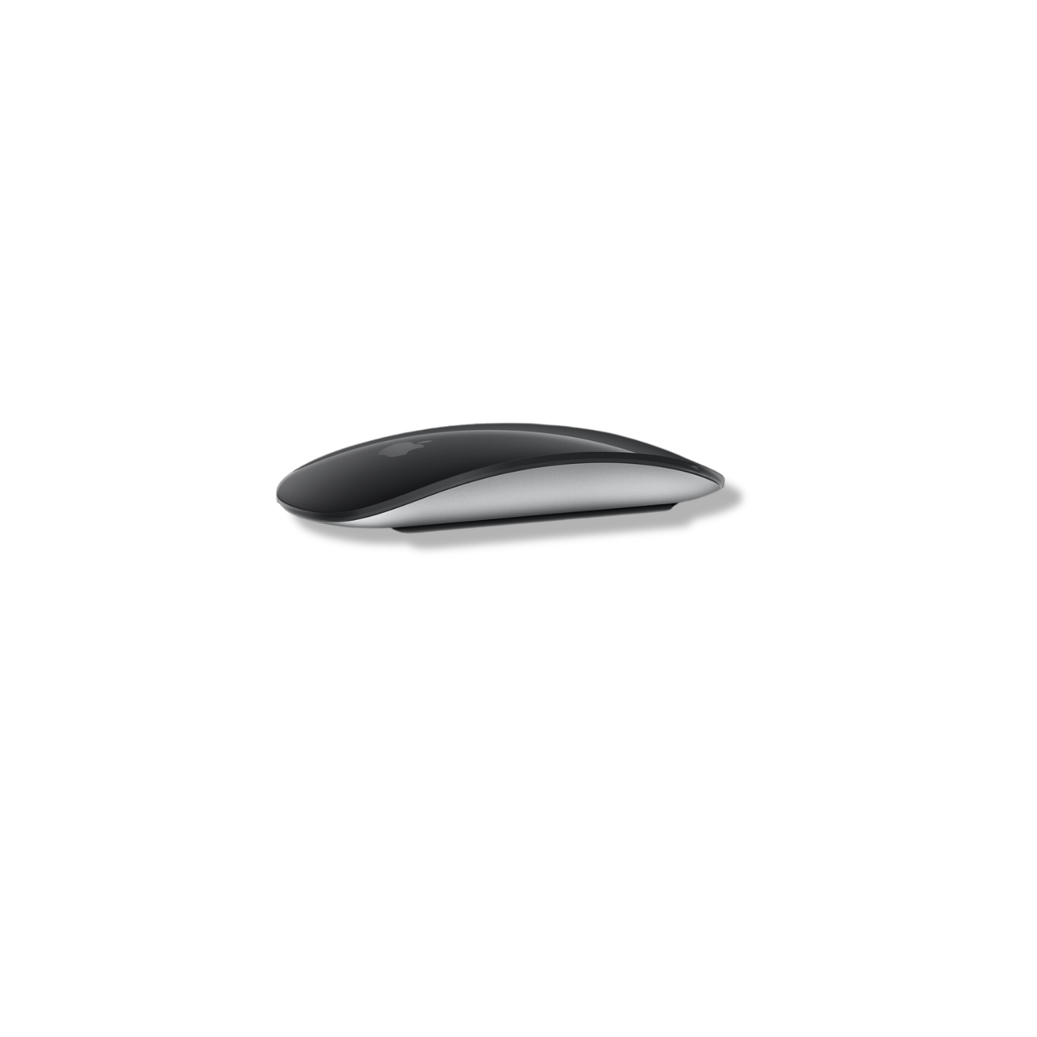 Apple Magic Mouse (USB‑C) Black (2024)